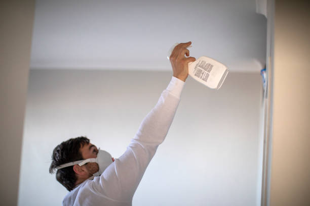 Office Mold Removal Services in Niagara University, NY